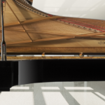Choosing the perfect digital piano: The leading brands you can’t miss