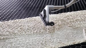 carpet cleaning Services