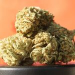 THCA Strains